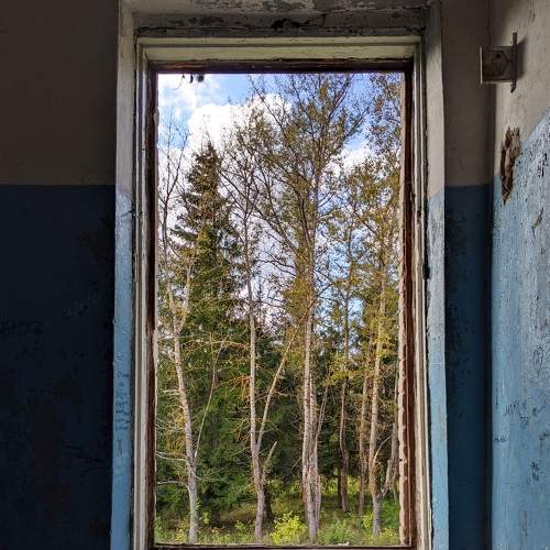 Photo #11185776