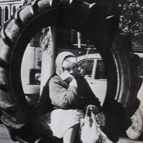 Photo #11185842