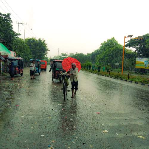 Photo #11185926