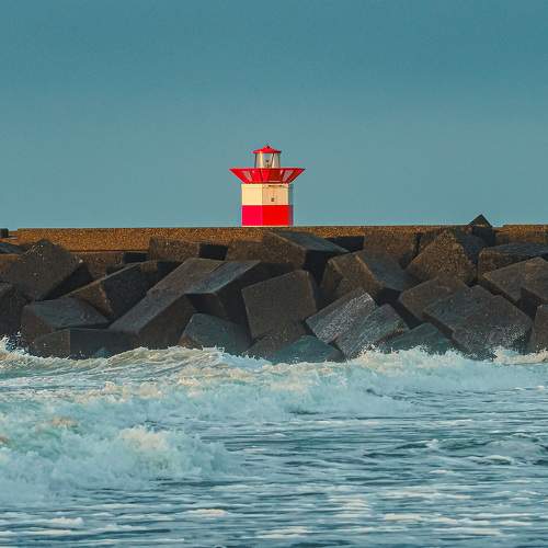 Photo #11185966