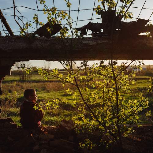 Photo #11186056