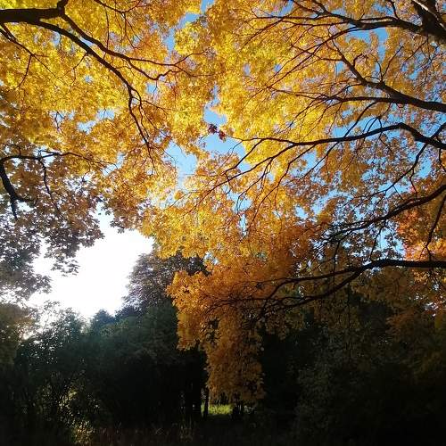Photo #11186609