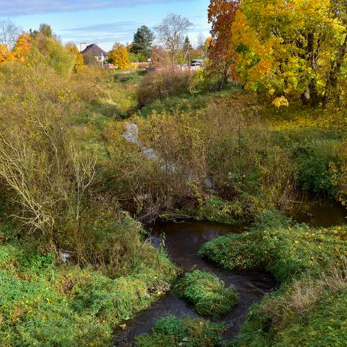 Photo #11187201