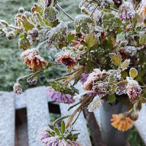 Photo #11187355