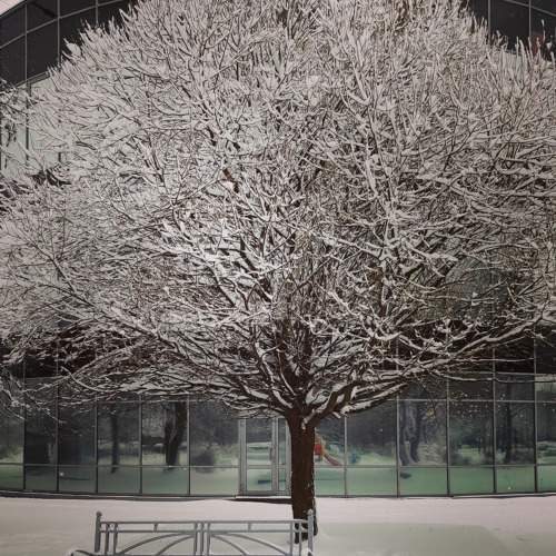 Photo #11187491