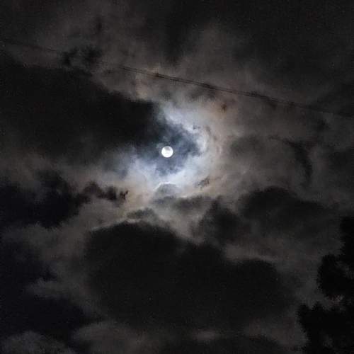 Photo #11187945