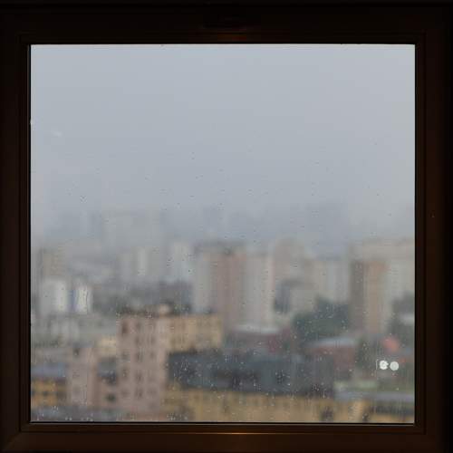 Фотография #11188487