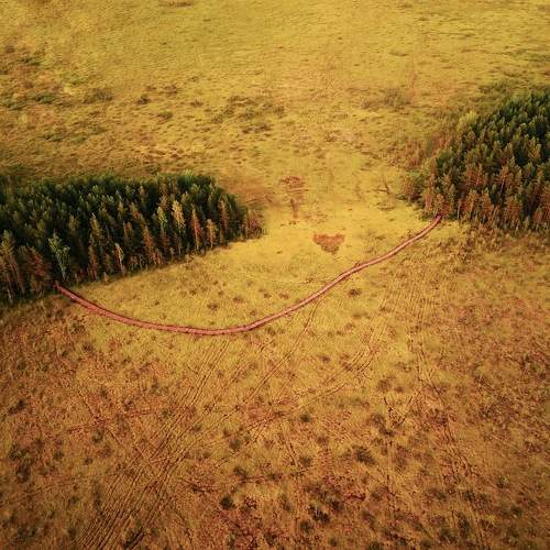Photo #11189071