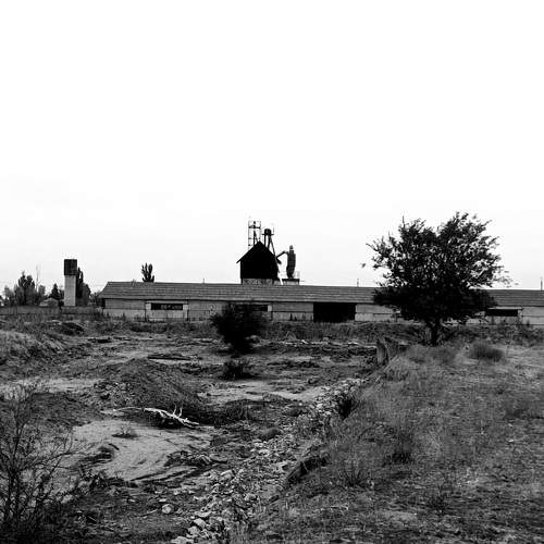 Photo #11189097