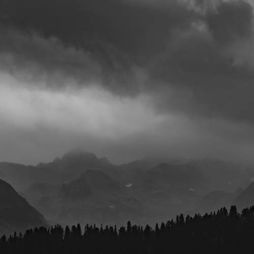 Photo #11189153