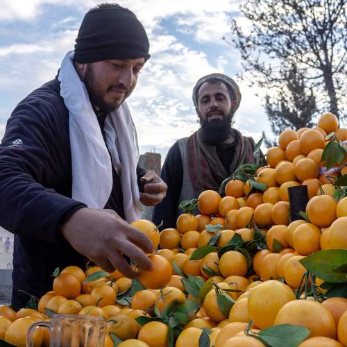 Oranges and the vendor