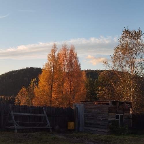 Photo #11189215