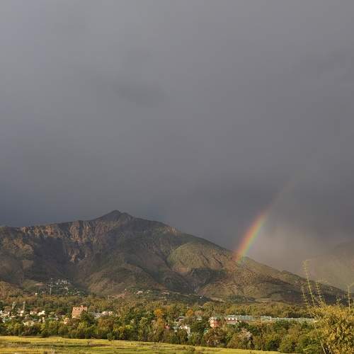 Photo #11189661