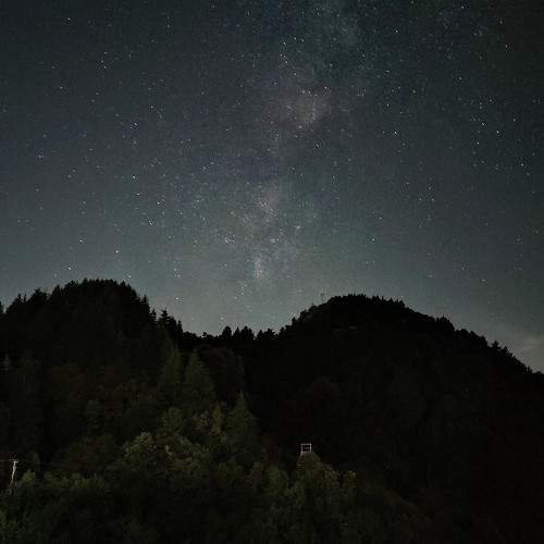 Photo #11189700