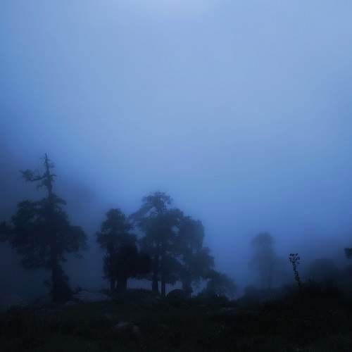Photo #11189783