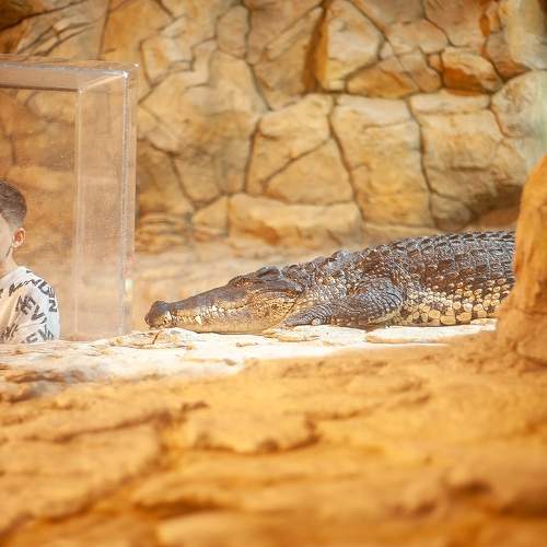 Фотография #11189928