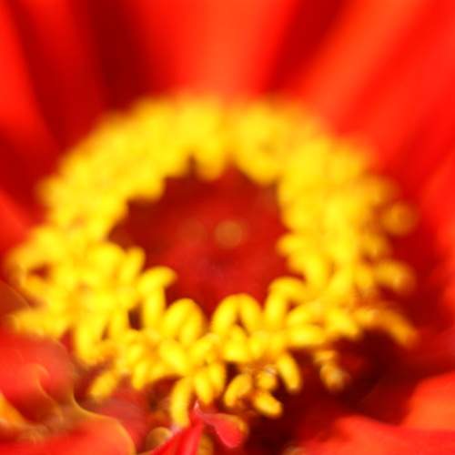 Photo #11189966