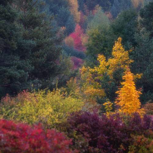 Photo #11190068