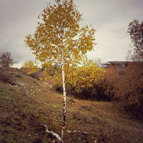 Photo #11190436