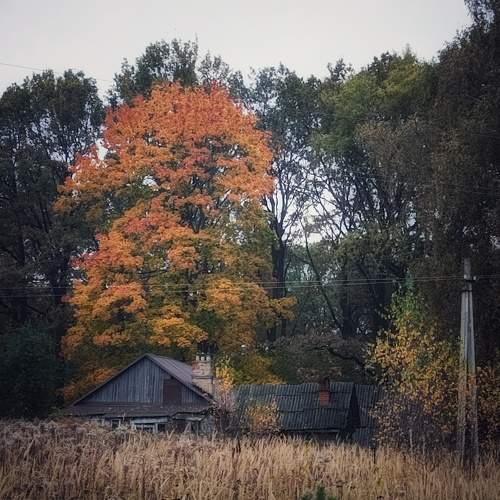 Photo #11190437