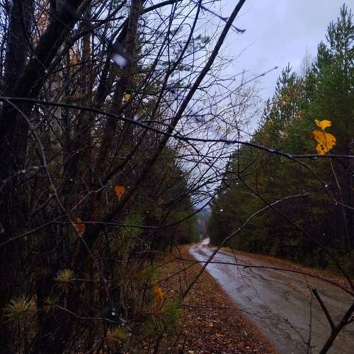 Photo #11190528