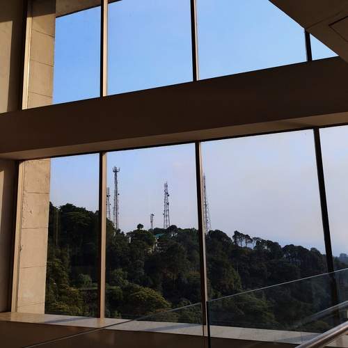 Photo #11190547