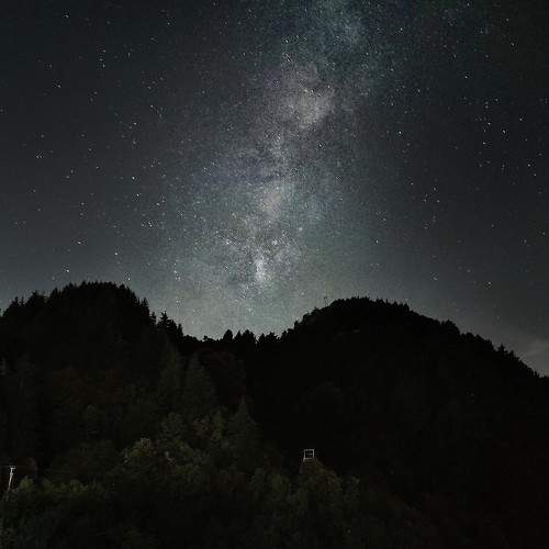 Photo #11190565