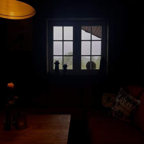 Photo #11190846