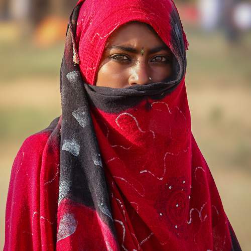 Photo #11191201