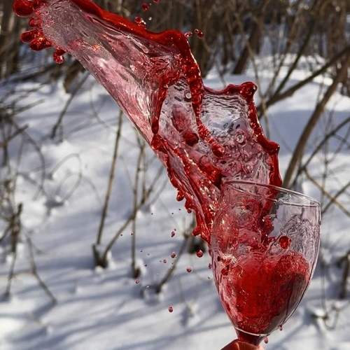 Photo #11191219