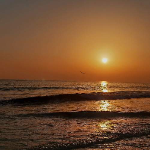 Photo #11192033