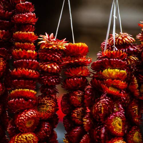 Red Fruit