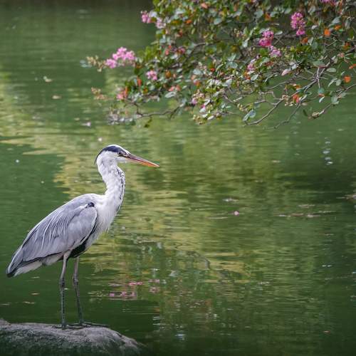 Photo #11193150