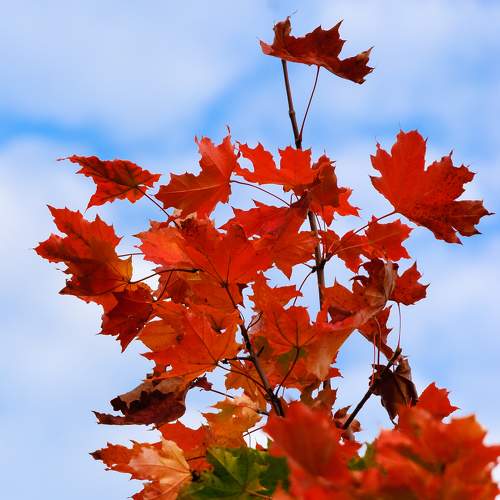 Photo #11193220