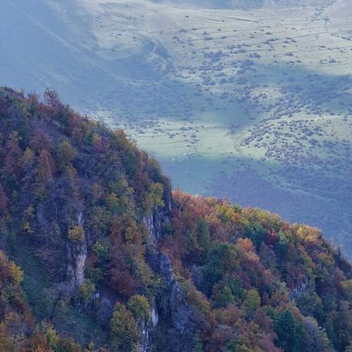 Photo #11193244