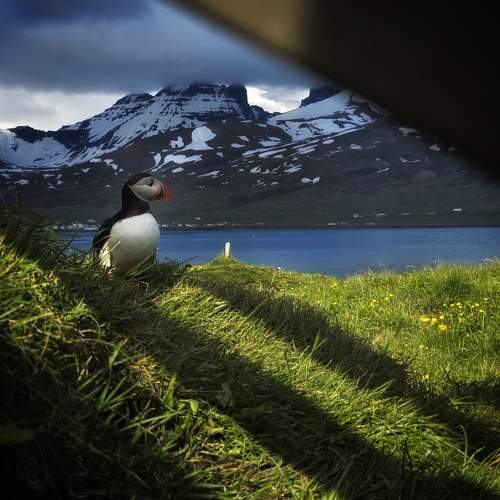 Photo #11193285