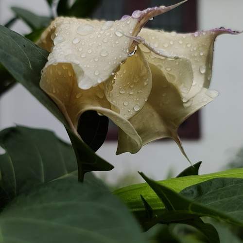 Photo #11193401