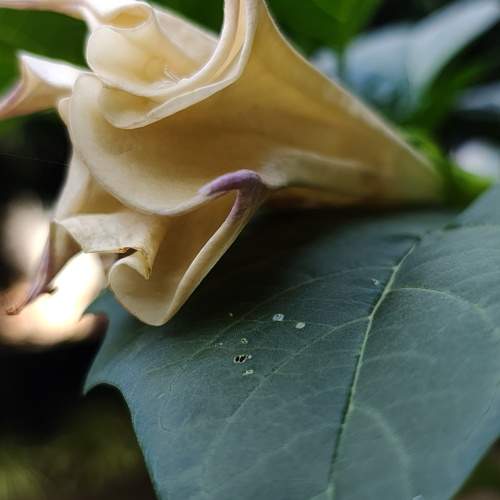Photo #11193408