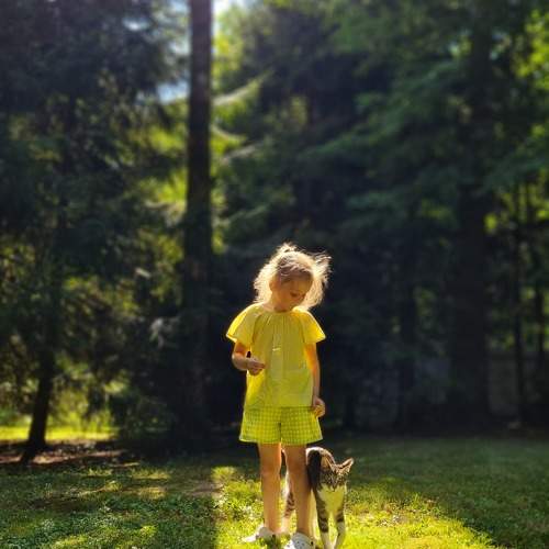 Photo #11193817