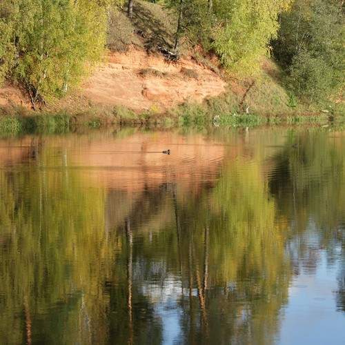 Photo #11194745