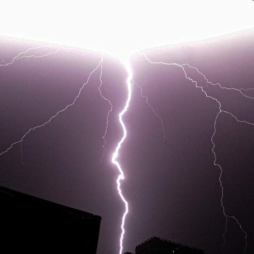 Photo #11194766