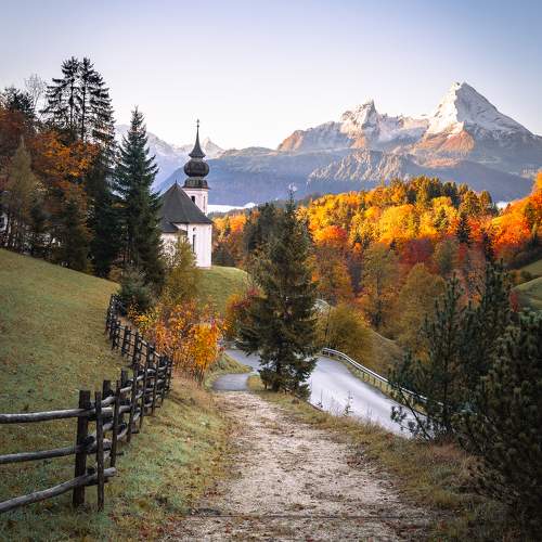 Photo #11194858