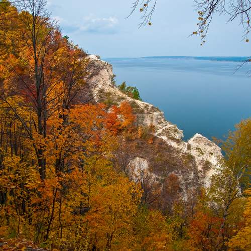 Photo #11194980