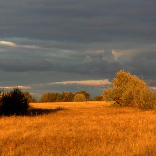 Photo #11195224