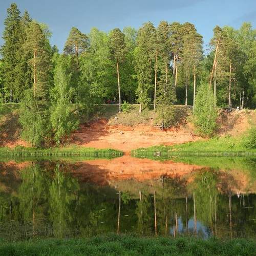 Photo #11195281