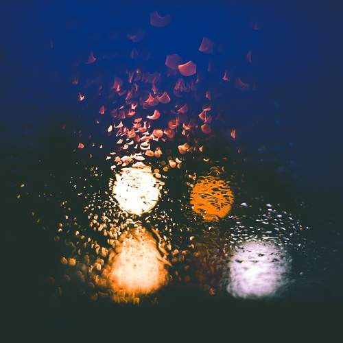Photo #11195347