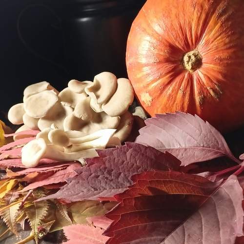 Photo #11195400