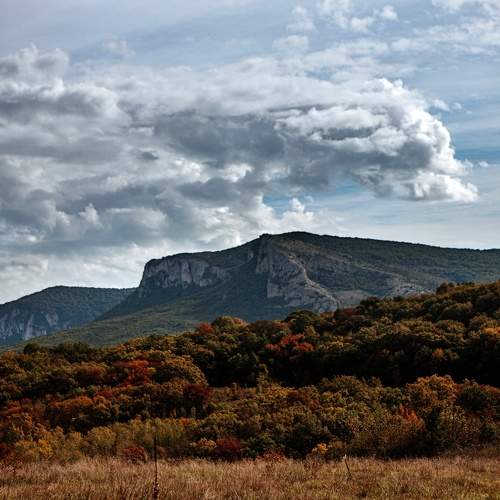 Photo #11195451