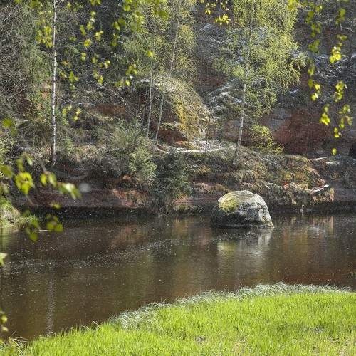 Photo #11195726