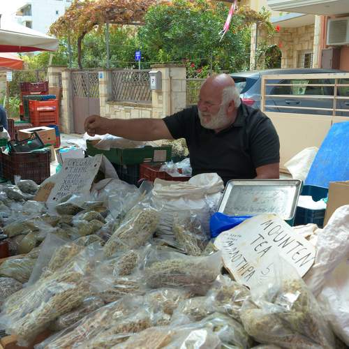 Photo #11195958